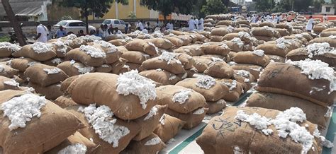cotton auctions